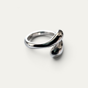 ANILLO IDENTIDAD